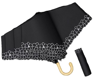 folding_umbrella-removebg-preview